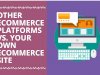 Other E-commerce Platforms Vs Your Own E-commerce Site: Which is Better? 