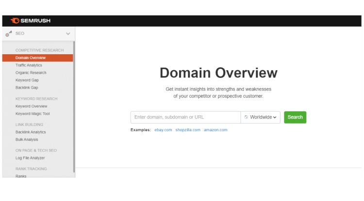 SEMRush Domain Overview